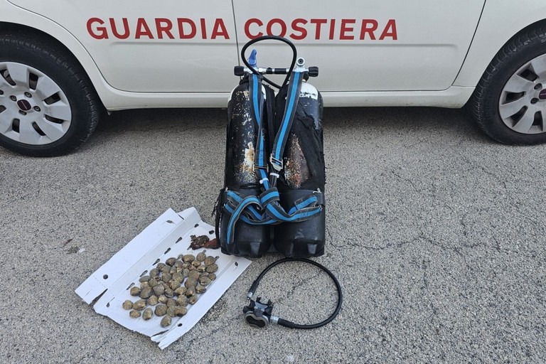 Prodotto ittico sequestrato dalla Guardia Costiera