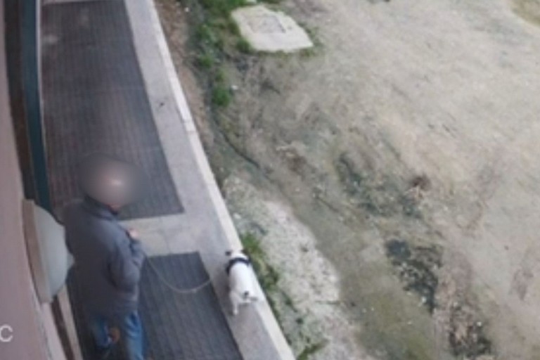 Deiezioni canine davanti a un magazzino