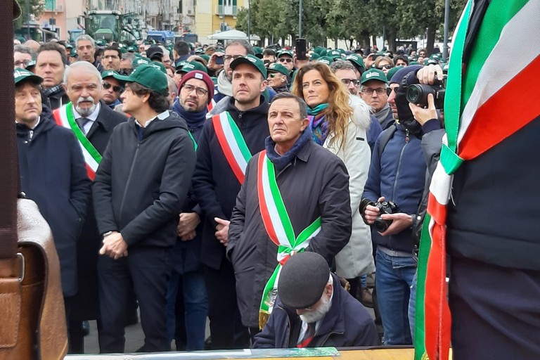 Pericolo xylella, il parere della senatrice di Barletta Assuntela Messina