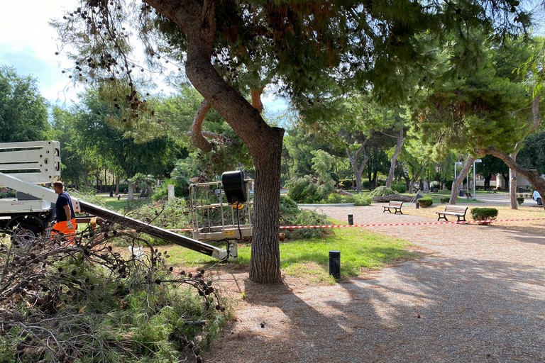 Maltempo, alberi caduti nei giardini del castello