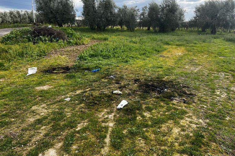Cadavere bruciato nelle campagne di Barletta, conclusi i rilievi