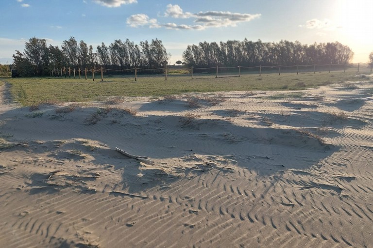 Dune litoreanea di Ponente