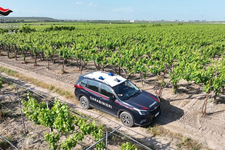 Carabinieri Barletta