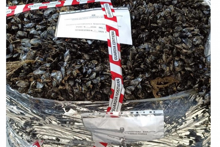 Cozze sequestrate dalla Capitaneria di porto