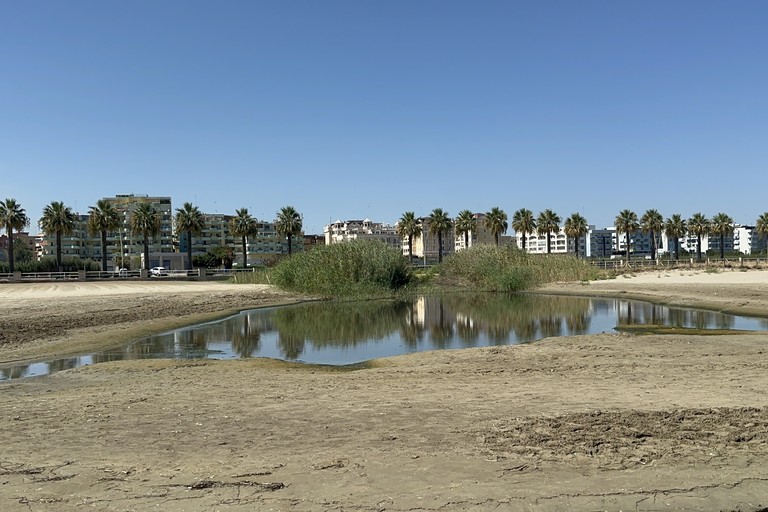 Canale H