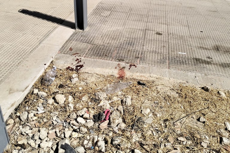 Pavimento dissestato 167