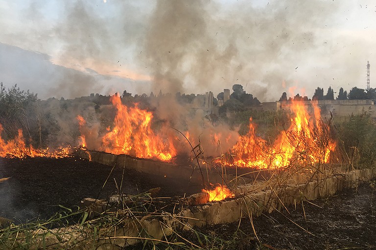 Divampano le fiamme in un canneto a Ponente, bruciano anche rifiuti