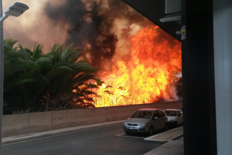 Fiamme si levano in via Vecchia Andria