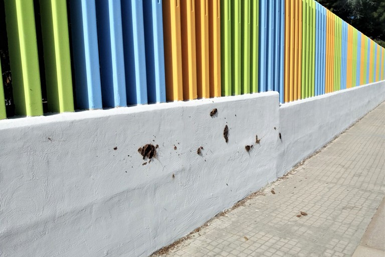 Muri della scuola imbrattati con le deiezioni canine
