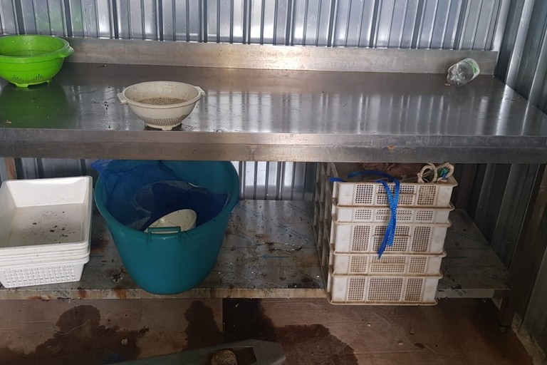 Molluschi in cattivo stato di conservazione, in azione la Guardia Costiera di Barletta