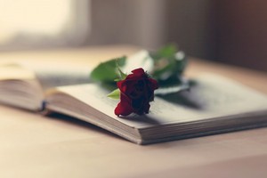 Libro con fiore