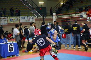 Tae Cup 2012