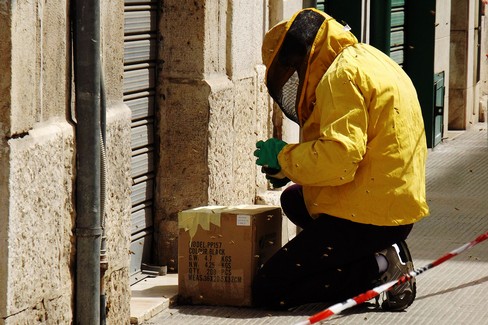 Apicoltore in via Musti, rimosso alveare