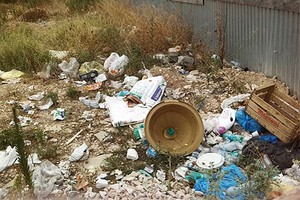 Discarica a cielo aperto e topi in via degli ulivi