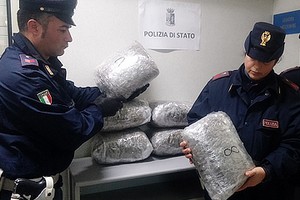 Droga Polizia Marijuana Commissariato