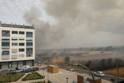 Incendio in via Vecchia Andria, a fuoco i vivai nella zona 167