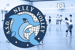 Nelly Volley