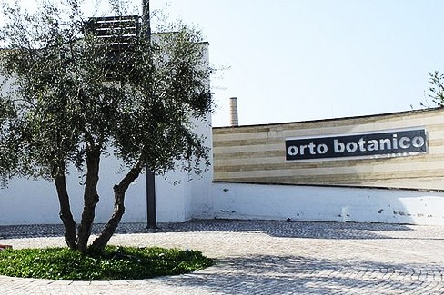 Orto botanico