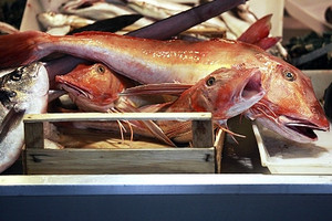 Pesce Rosso Pescheria