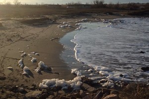 Il mare inquinato di Barletta