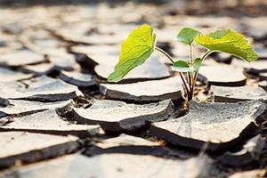 Barletta: «in natura nulla si crea, nulla si distrugge. tutto si ... Distrugge i rifiuti urbani