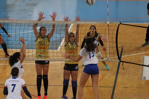 Nelly Volley Pallavolo