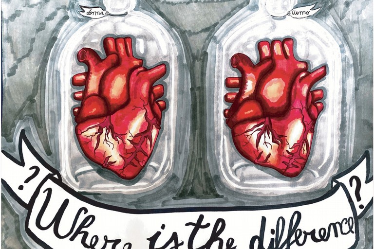 Opera vincitrice De Nittis