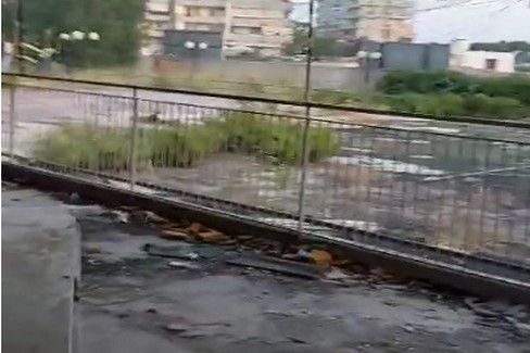 pattinodromo