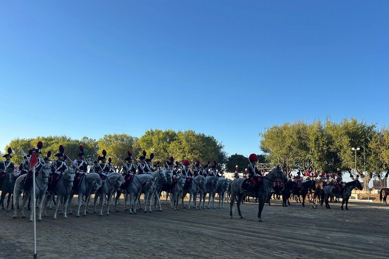 Tra storia e rievocazione: grande successo a Barletta per il Carosello storico dell’Arma dei Carabinieri