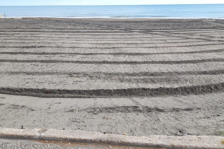 Pulizia su spiagge e litorali a Barletta