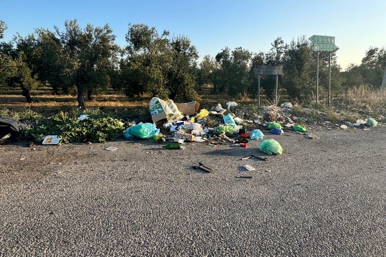 Discarica a cielo aperto sulla complanare per Montaltino