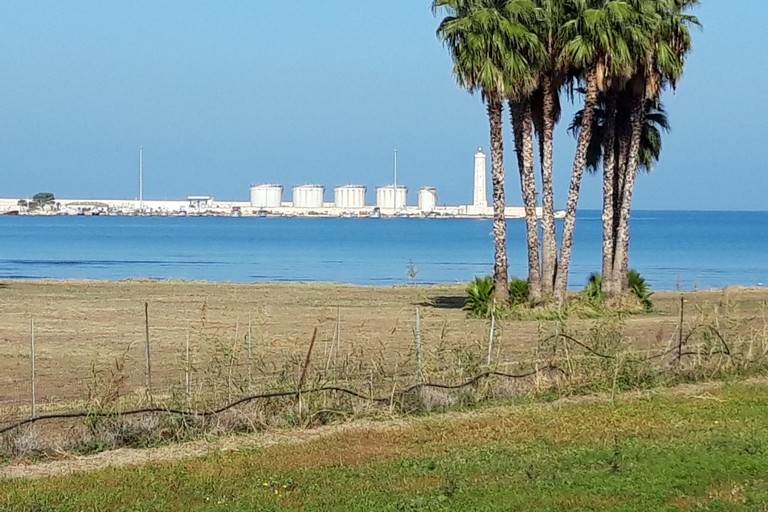 Rimosso il canneto selvatico lungo la costa di Levante