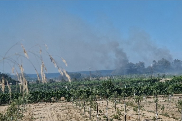 Incendio Barletta Ariscianne