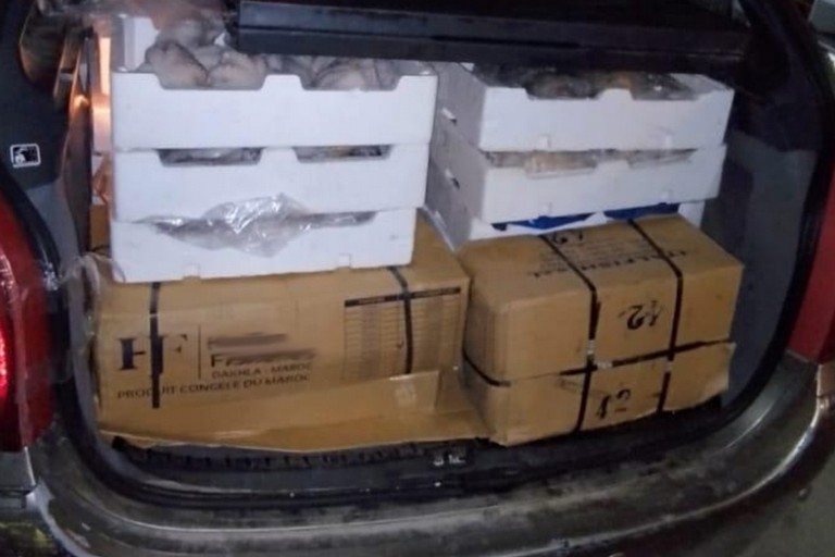 Sequestrati tre quintali di prodotti ittici venduti per strada a Barletta