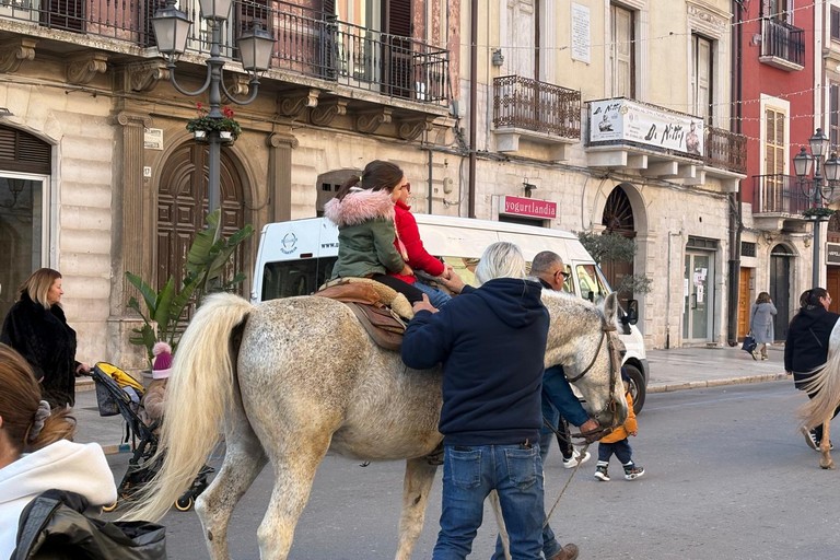 solidariet a cavallo