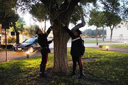 Spaccio nei giardini del castello