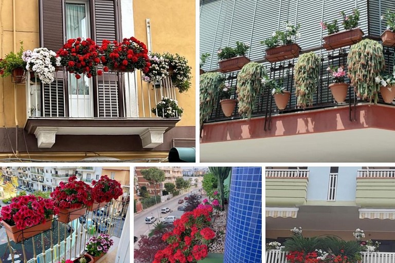 Vincitori concorso Balcone fiorito Barletta