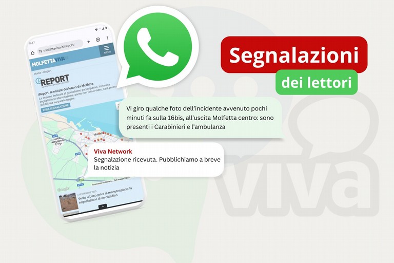Viva Network Segnalazioni Whatsapp