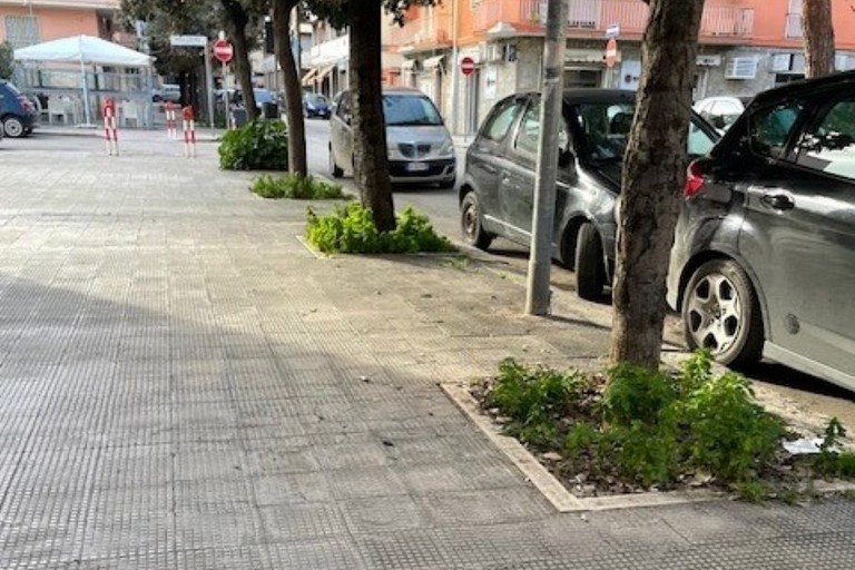 Aiuole in stato di abbandono a Barletta