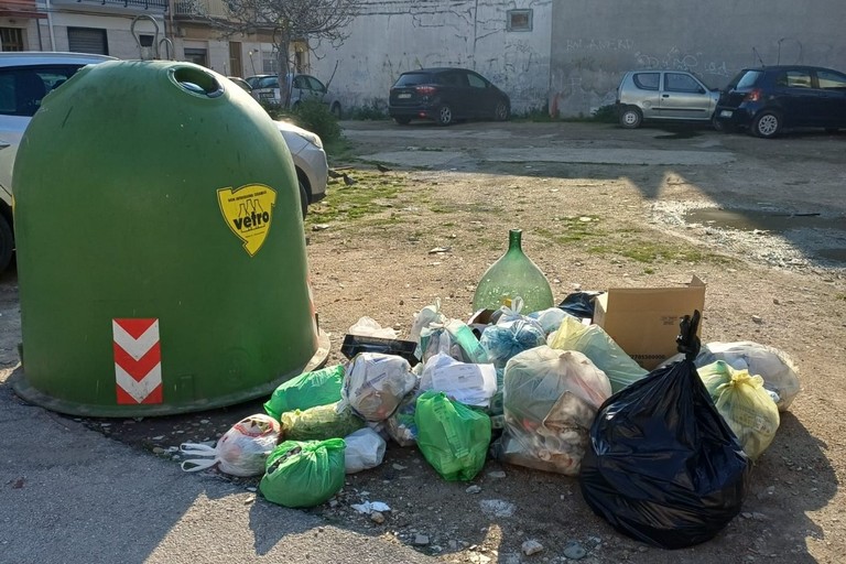 Abbandono dei rifiuti