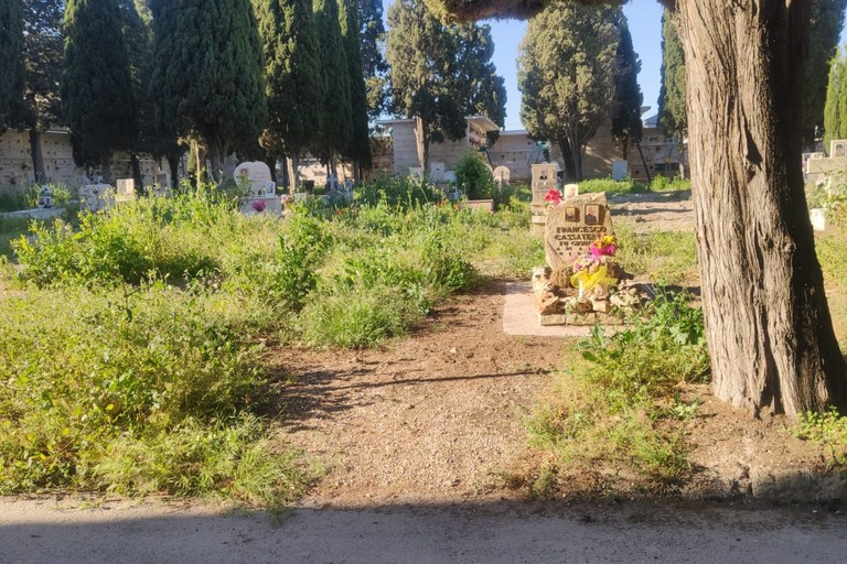 Rete Civica Barletta: «Sul degrado del cimitero servono risposte serie, non offese ai cittadini»