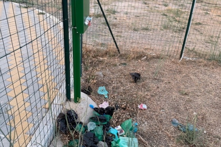 Area cani in zona 167, la segnalazione di un cittadino: «Grave stato di abbandono»