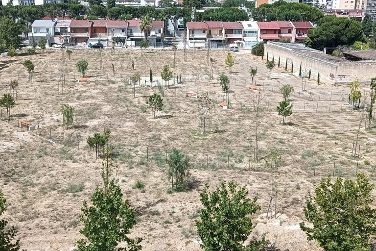 Il Parco della 167