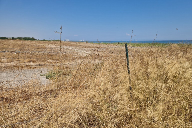 Area ex cartiera di Barletta, situazione al 5 agosto 2026